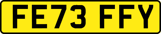 FE73FFY