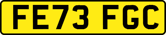FE73FGC