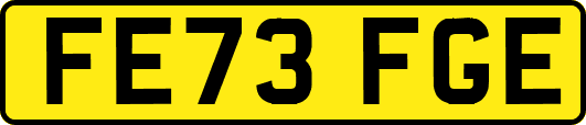 FE73FGE