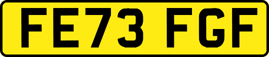 FE73FGF