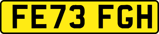 FE73FGH