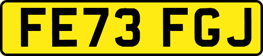 FE73FGJ