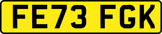 FE73FGK