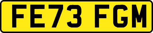FE73FGM
