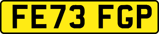 FE73FGP