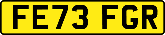 FE73FGR