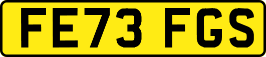 FE73FGS