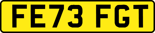 FE73FGT