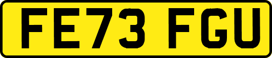 FE73FGU