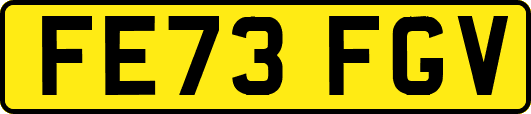 FE73FGV