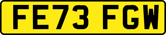 FE73FGW