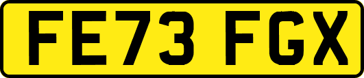 FE73FGX