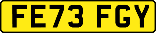 FE73FGY
