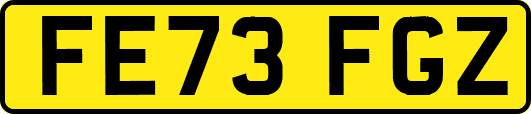 FE73FGZ