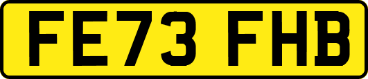 FE73FHB
