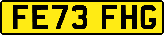 FE73FHG