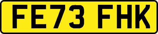 FE73FHK