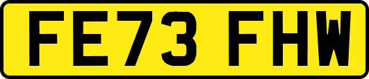 FE73FHW