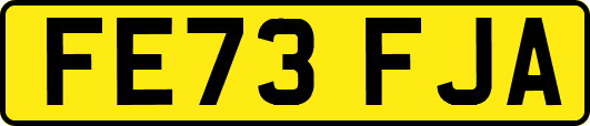 FE73FJA