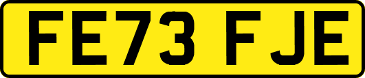 FE73FJE