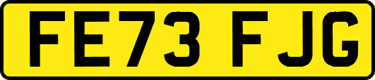 FE73FJG