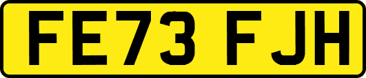 FE73FJH