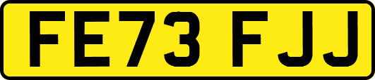 FE73FJJ