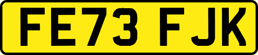 FE73FJK