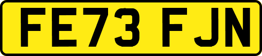 FE73FJN