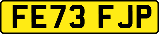 FE73FJP