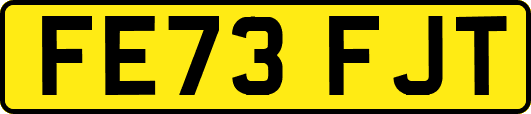 FE73FJT