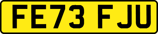 FE73FJU
