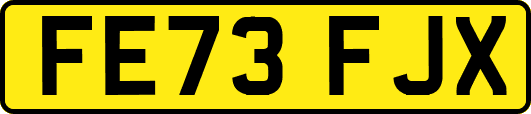 FE73FJX