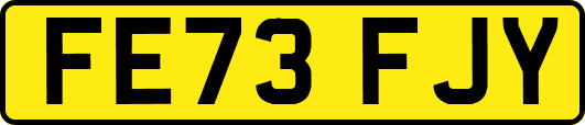 FE73FJY