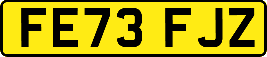 FE73FJZ