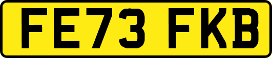 FE73FKB