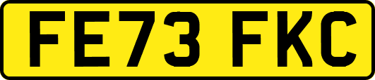 FE73FKC