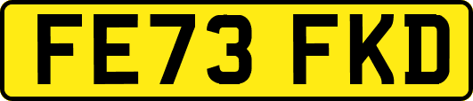 FE73FKD