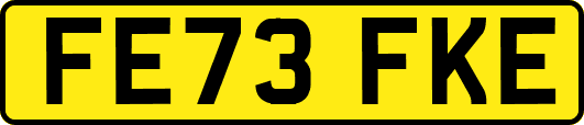 FE73FKE