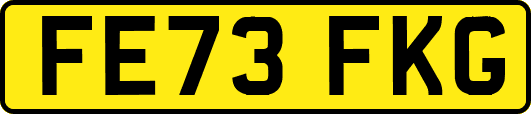 FE73FKG