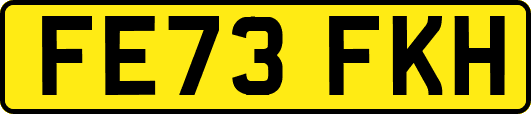 FE73FKH