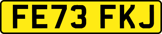 FE73FKJ