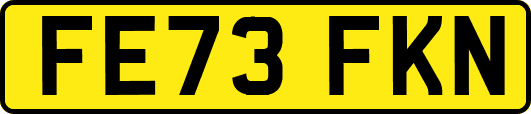 FE73FKN