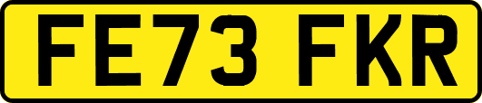 FE73FKR
