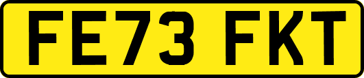 FE73FKT