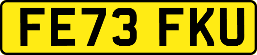 FE73FKU