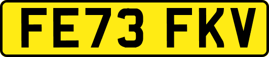 FE73FKV
