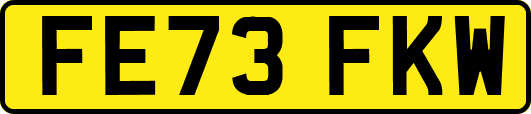 FE73FKW