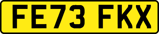 FE73FKX
