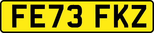 FE73FKZ